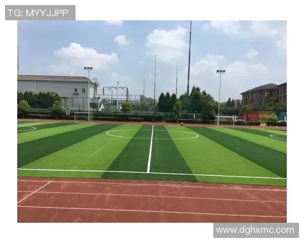 上海足球场育场助力青少年足球发展与城市体育文化提升